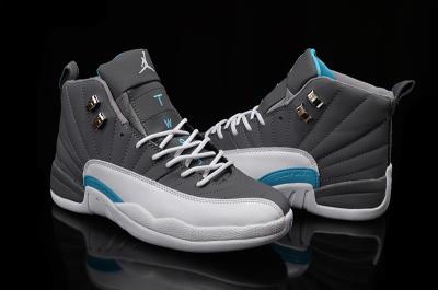 Air Jordan 12-240